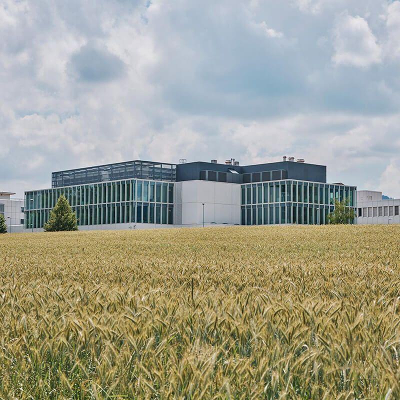 exterior view of IBM location exterior view of IBM location