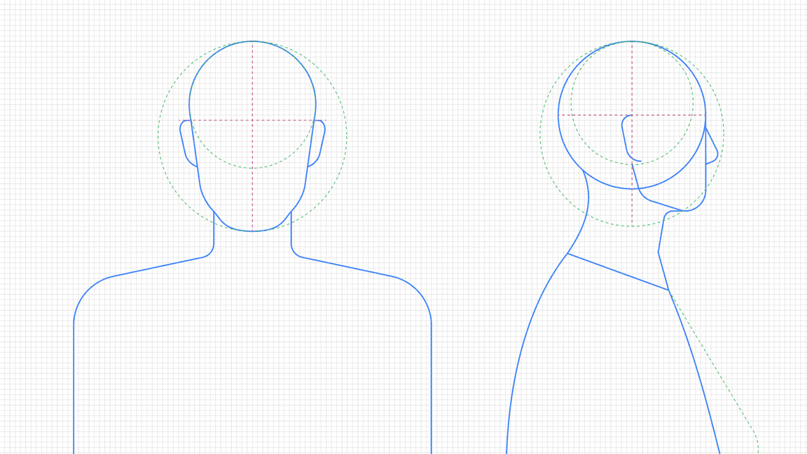 Front and profile skeleton structure example Front and profile skeleton structure example